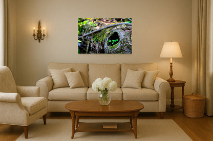 Nature's Little Home